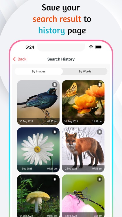 Reverse Image Search & Tool screenshot-3