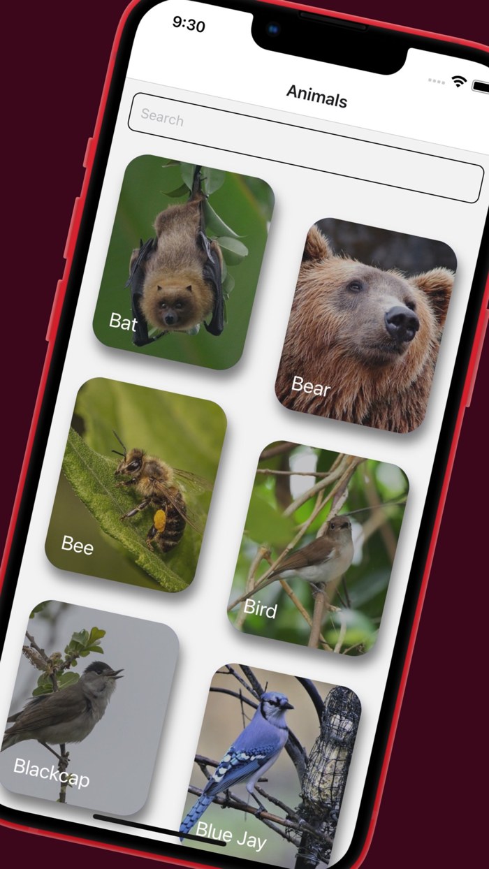 Hayo Animal Sounds  Noises