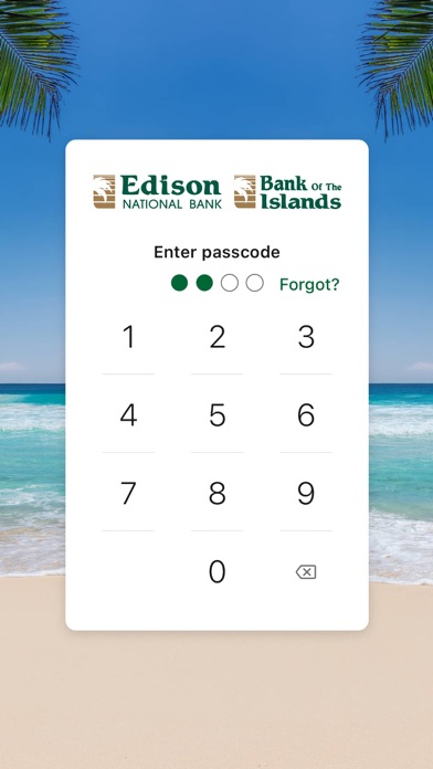 Edison National Bank Screenshot