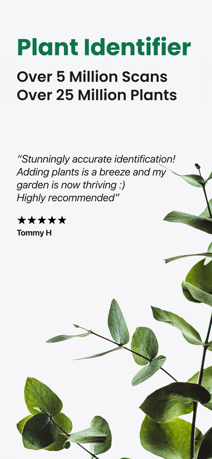 Plant ID and Disease Identifier