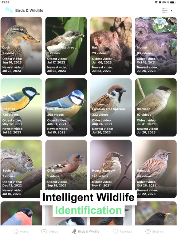 Screenshot #6 pour BirdsyCam