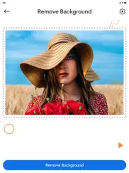 background remover - ai eraser ipad bildschirmfoto 2