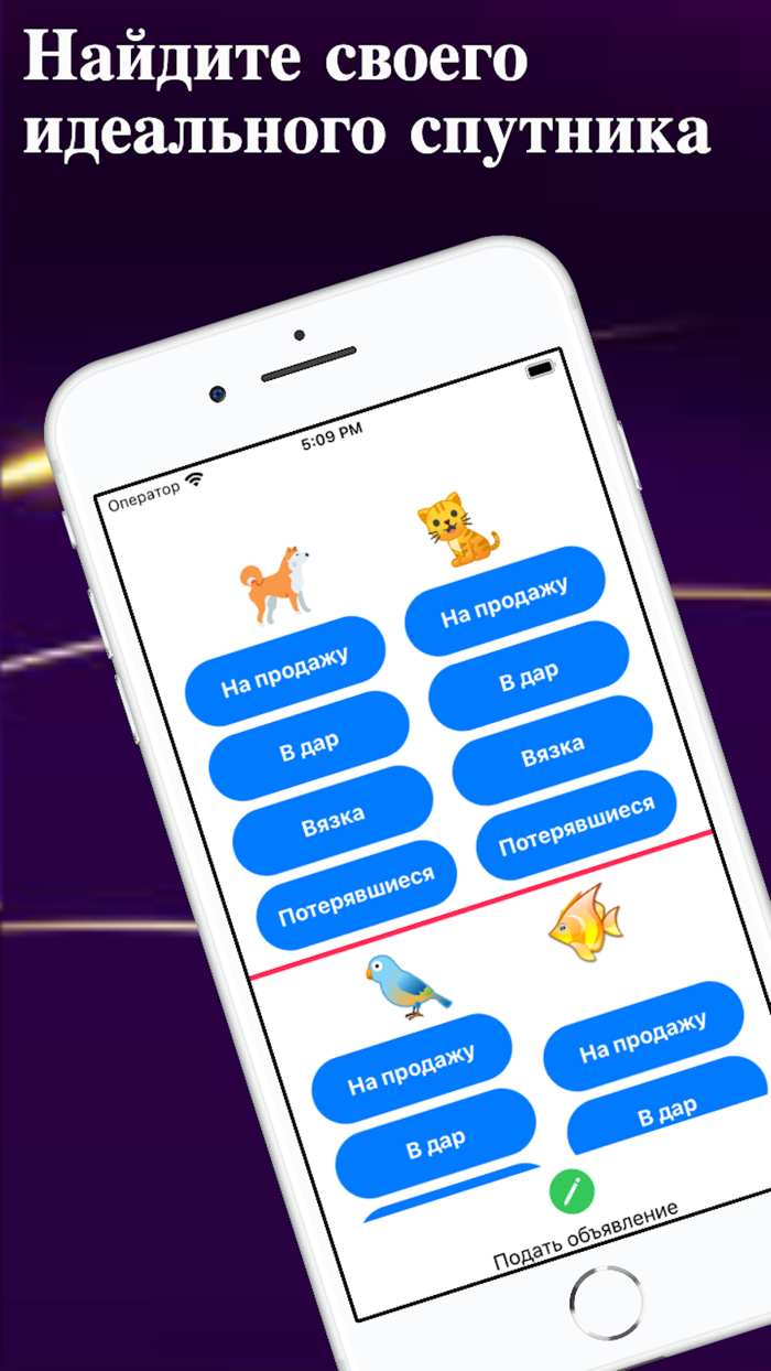 TicDog выбор домашних животных