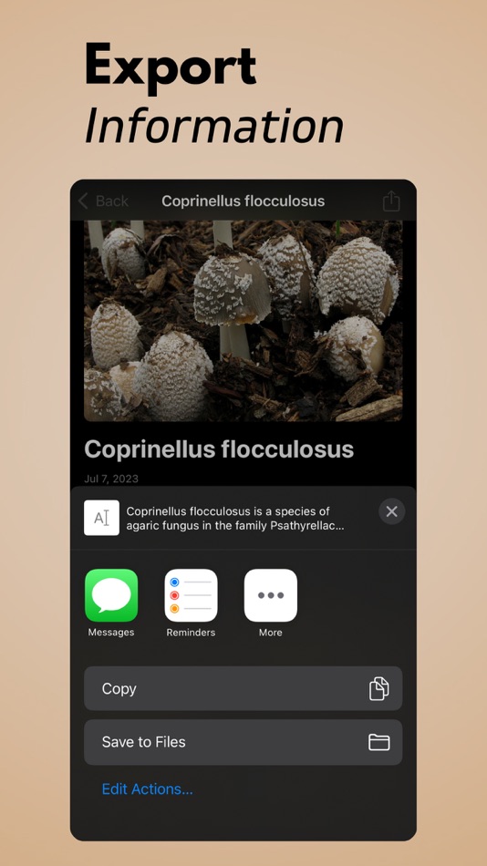 #5. Mushroom Identifier AI (iOS) Podle: Arda Sen