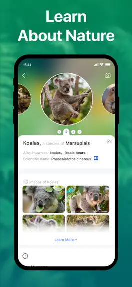 Game screenshot Picture Nature: Animal ID hack