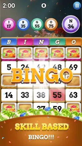 Game screenshot Bingo Trip -  Big Win mod apk