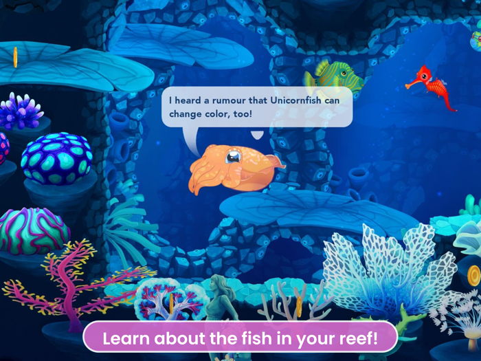 Splash Fish Sanctuary