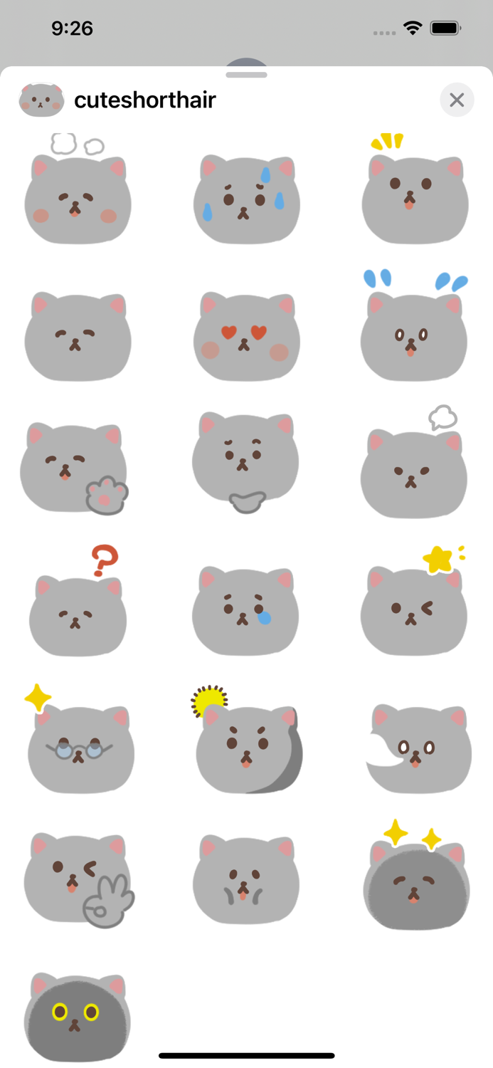 cute shorthair sticker