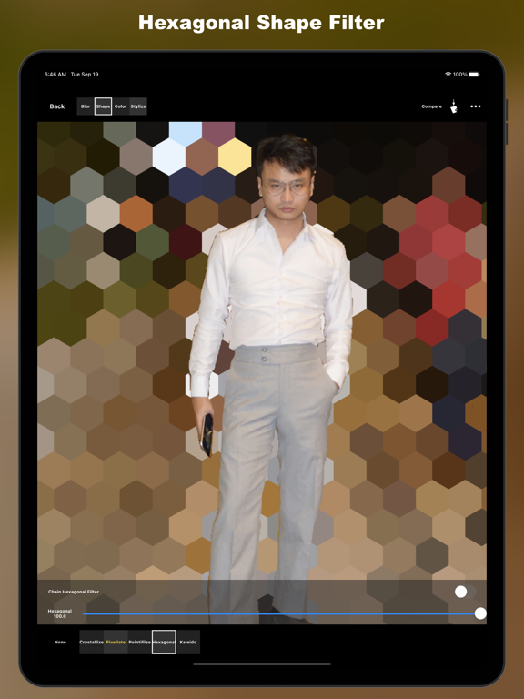 Bokeh It - Photo Blur Editor iPad screenshot 8 - Photo & Video app