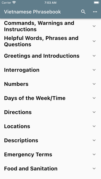 Vietnamese Basic Phrases app screenshot