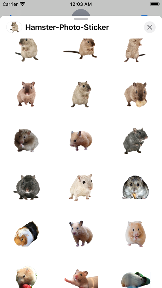 Hamster Photo Sticker - 3.0 - (iOS)