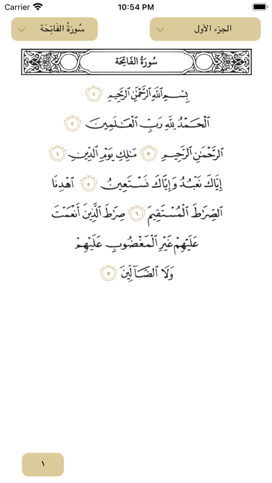 تدبر القرآن الكريم Screenshot
