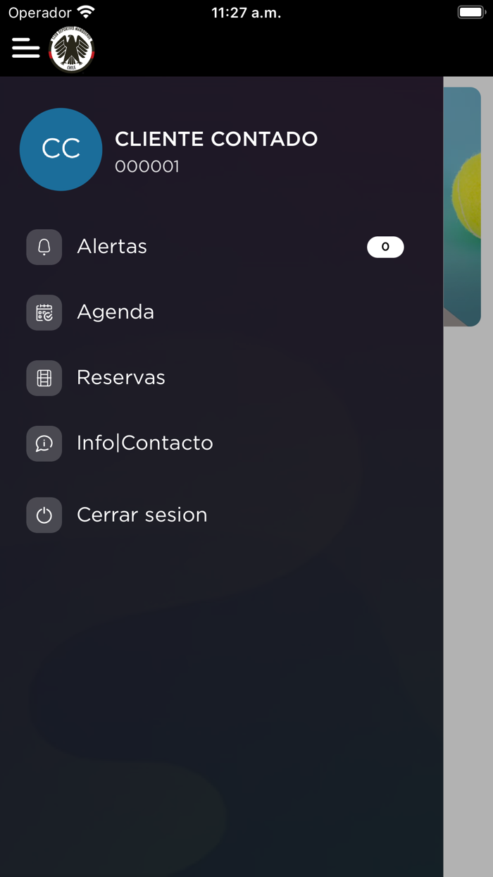 Club Deportivo Manquehue