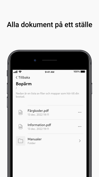 Bosse Screenshot