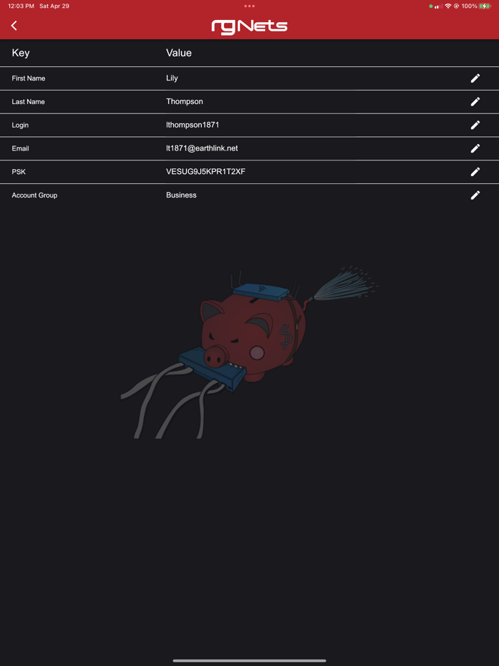 rXg Account Details Editor
