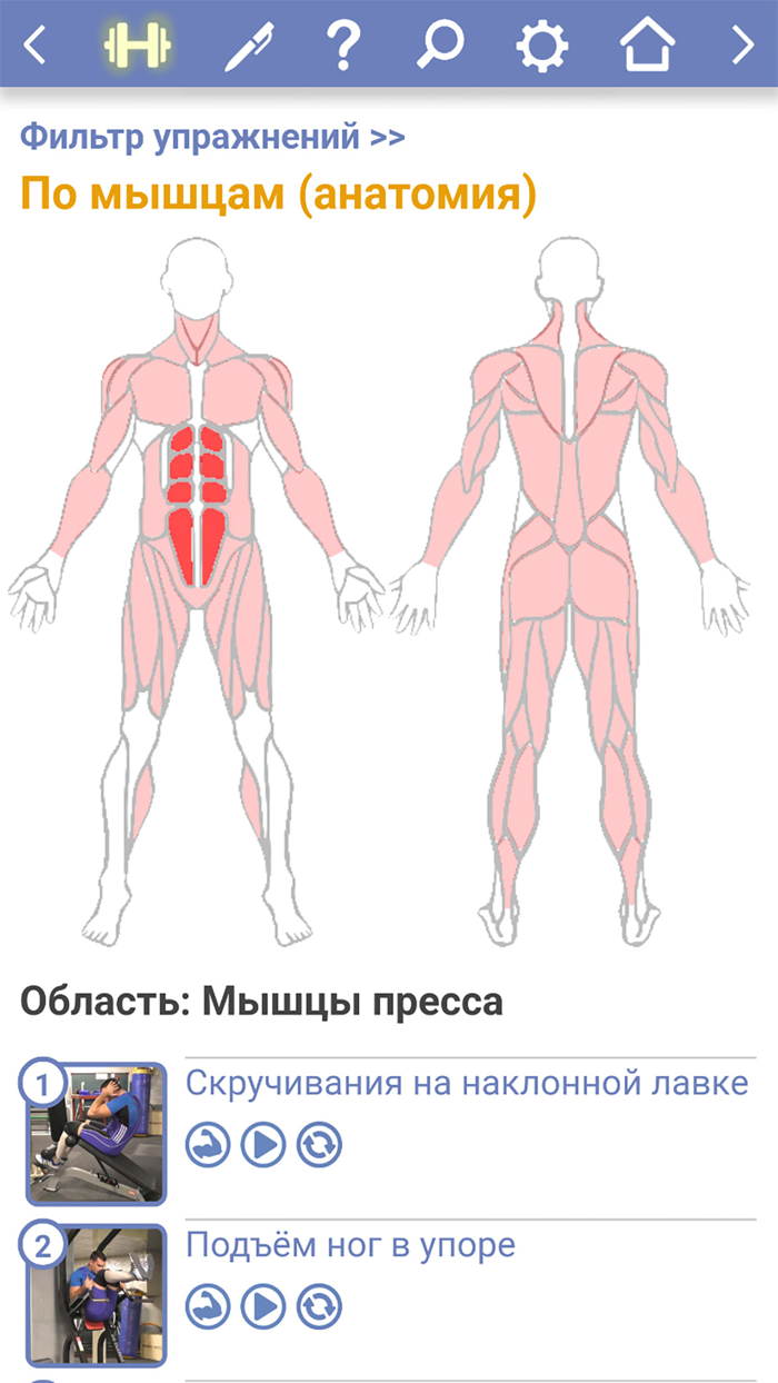 Твой Тренер