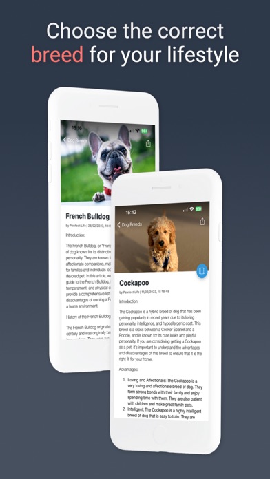 Pawfect Life - Puppy Training Screenshot
