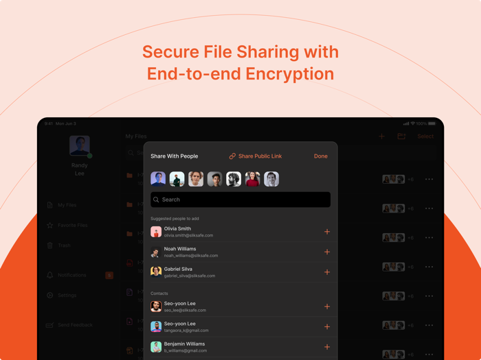SlikSafe Fast Backup and Search