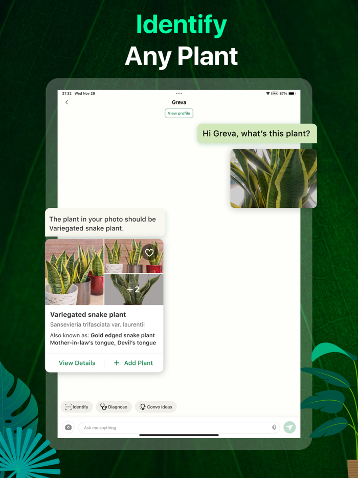 PlantAI Identifier and Diagnose