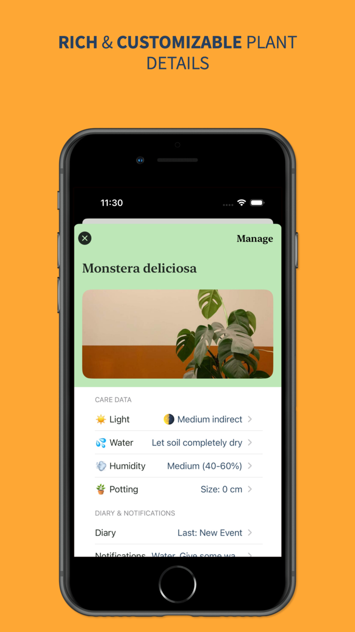 Indoor Plant Garden Planning