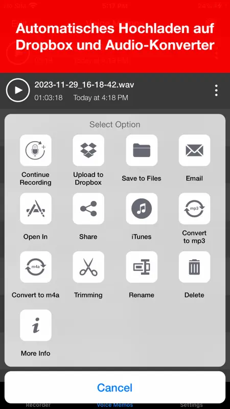 Voice Recorder - Audio Record screenshot 4 of 5