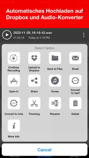 Screenshot von Voice Recorder : Ton Aufnehmen auf dem iPhone 4