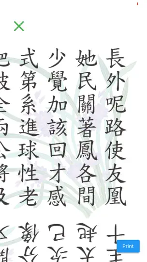Captura de pantalla de Chinese 5000 en iPhone 3