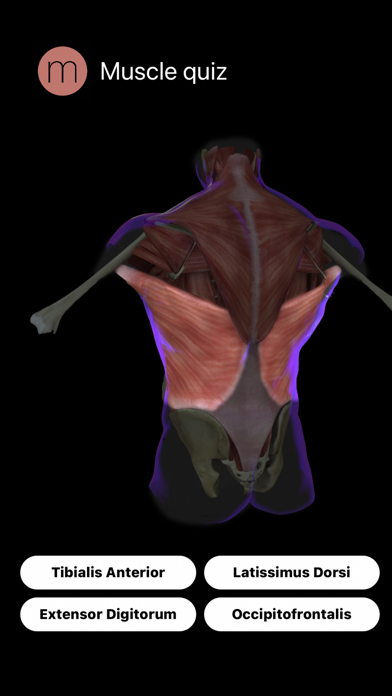 Human Anatomy Study Guide Screenshot