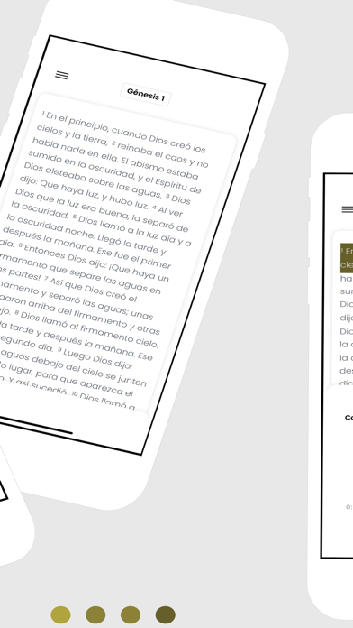 Biblia en Español Screenshot