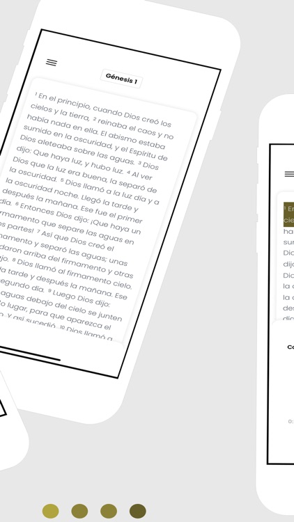 Biblia en Español
