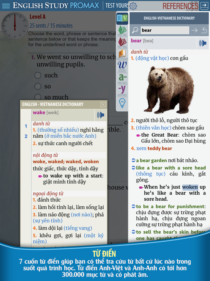 English Study PROMAX