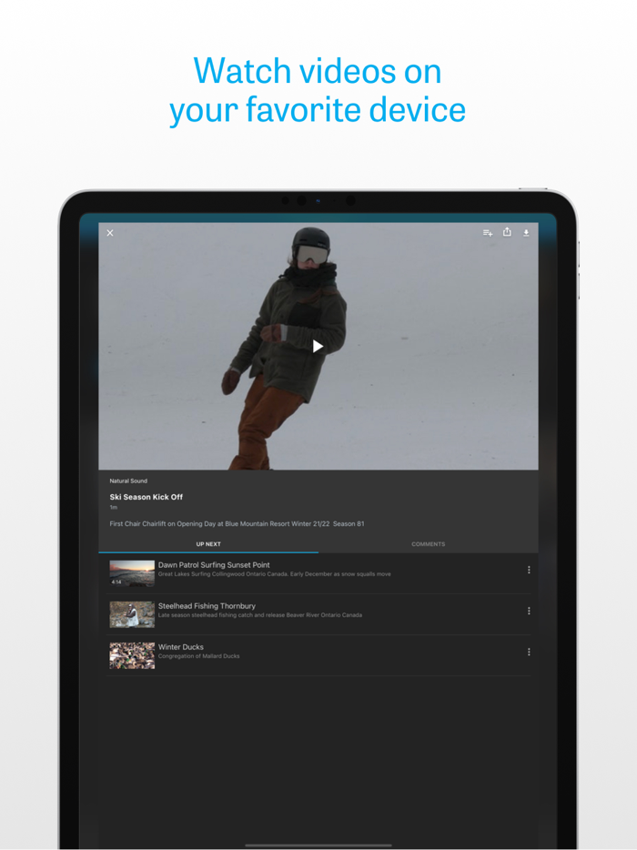 Bay Watch  South Georgian Bay