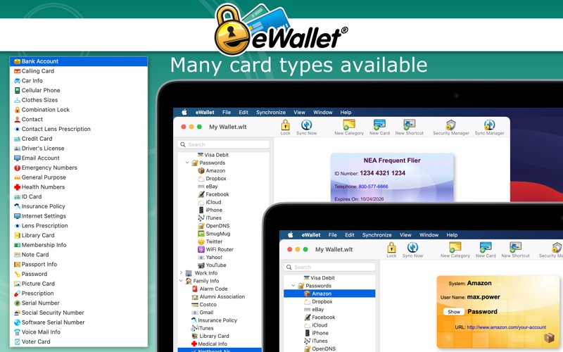 eWallet Screenshot