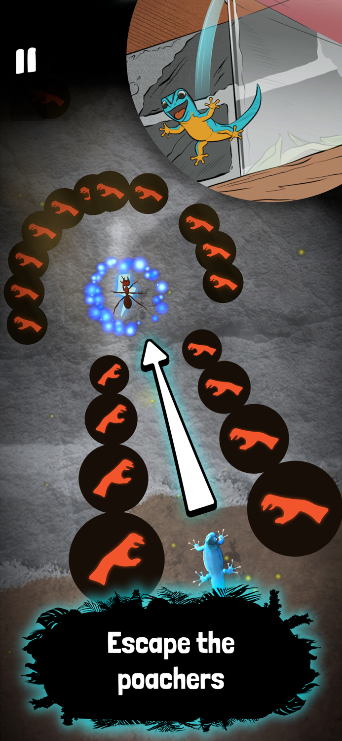 Electric Blue Gecko dash