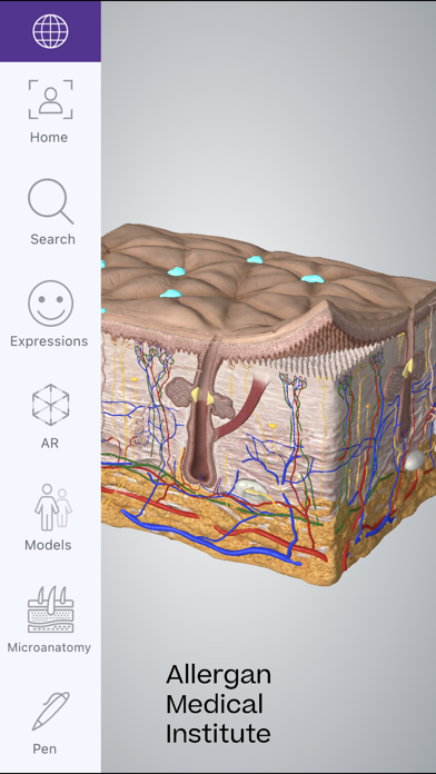AMI Facial Anatomy Screenshot