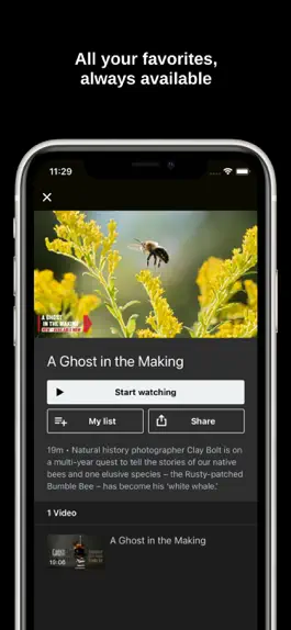 Game screenshot Insight TV hack