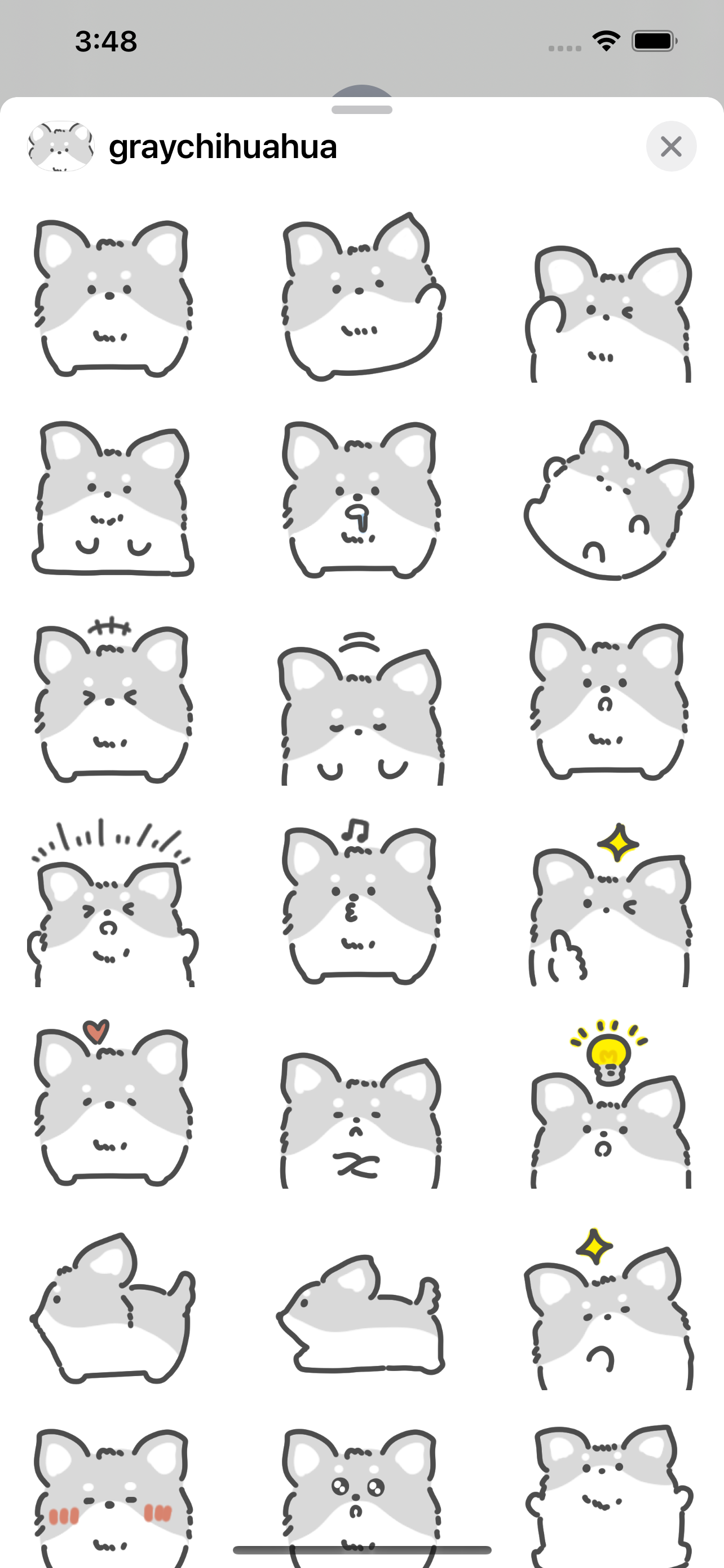 gray chihuahua sticker