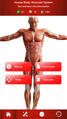 Game screenshot Human Muscular System Trivia mod apk