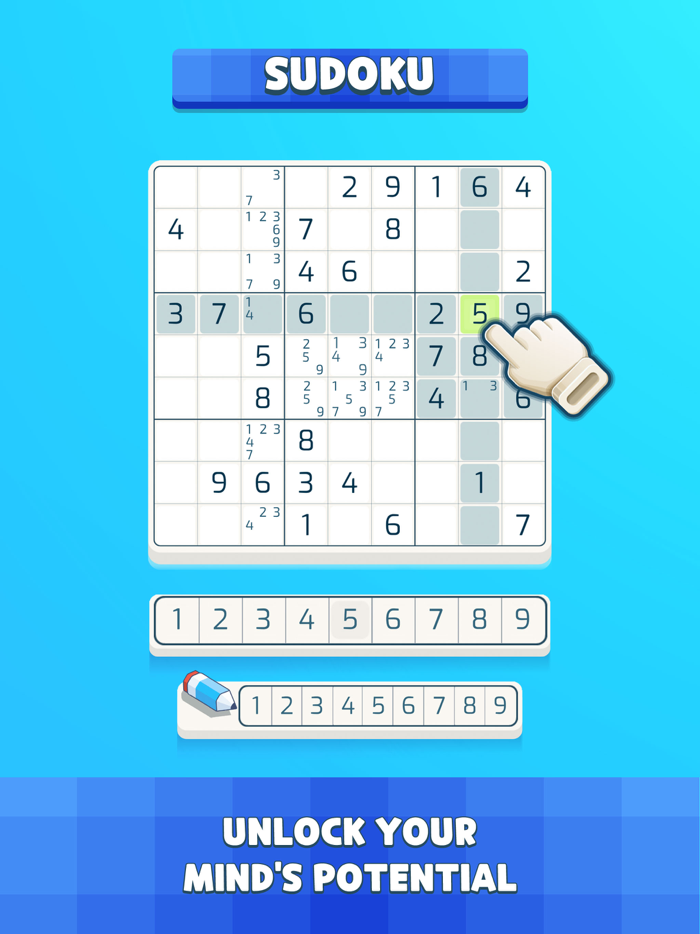 1001 Brain Zen Puzzle