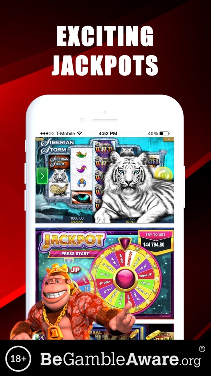 Winston Bet Casino & Slots screenshot-5