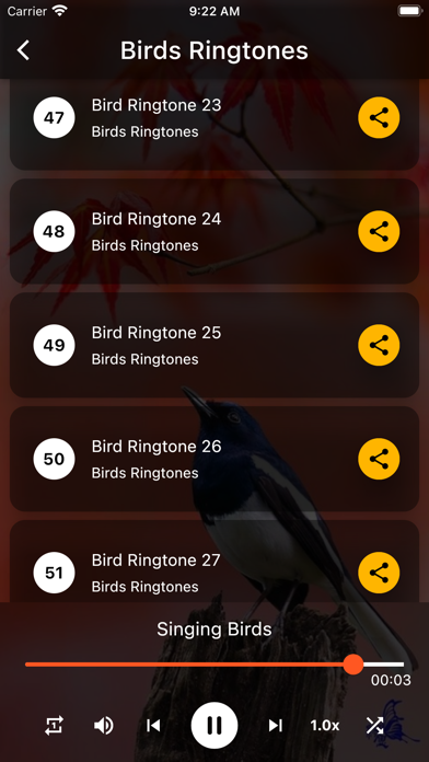 Birds Ringtones Screenshot