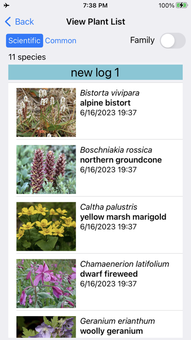 Alaska Wildflowers SE Screenshot