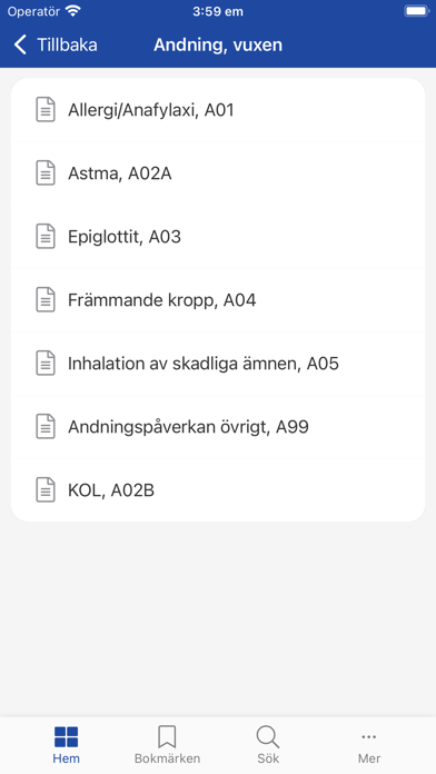Ambulans Västmanland Screenshot