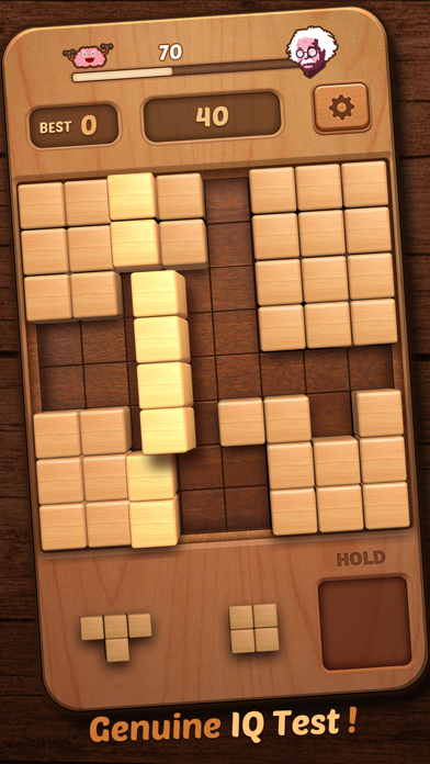 Block Puzzle Wood 3D Screenshot