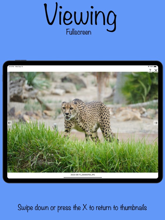 Photo Workflow Lite screenshot-5