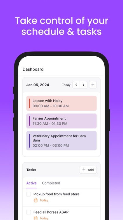 Bridle: Equine Management
