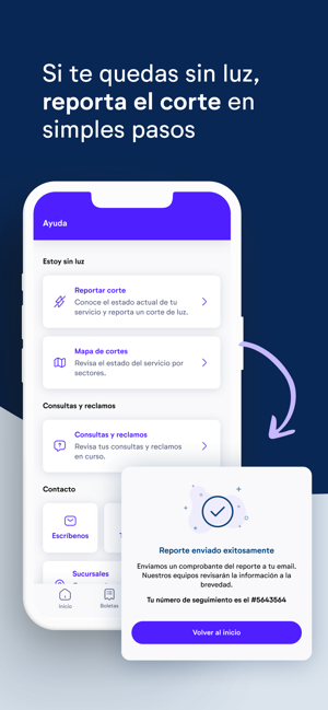 Saesa App Screenshot