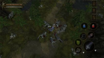 Screenshot #1 pour Baldur's Gate - Dark Alliance