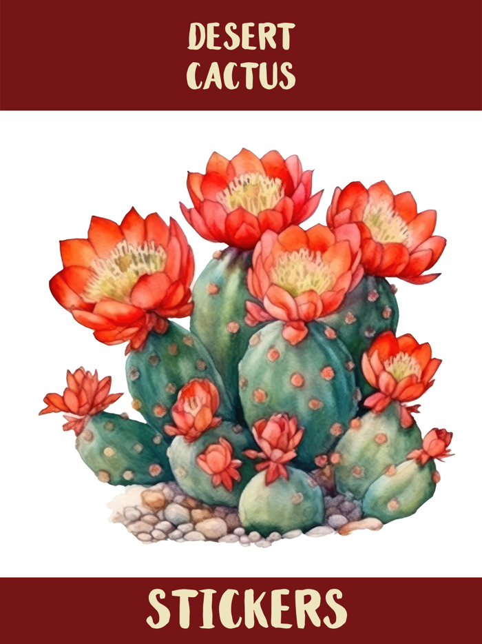 Western Desert Cactus