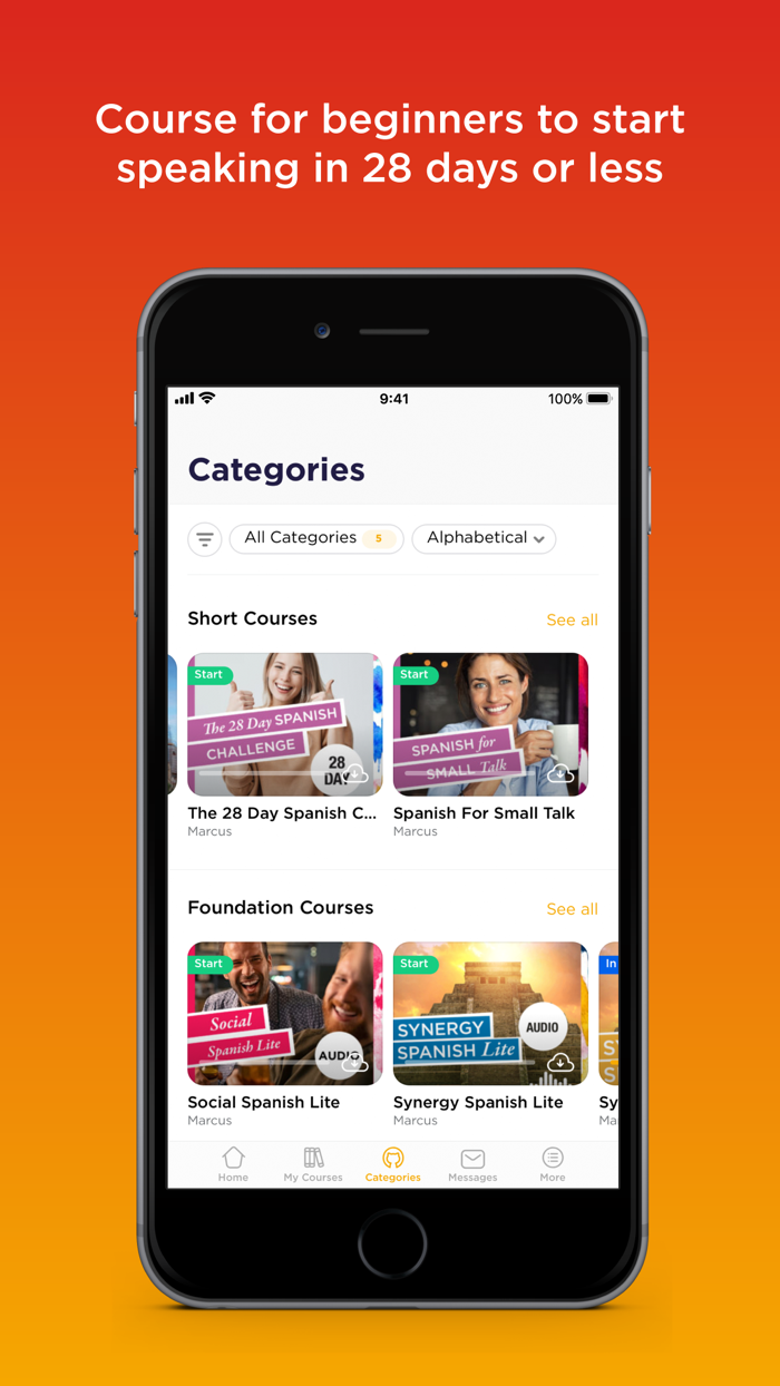 Synergy Spanish Systems